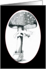 Mushroom 1A card