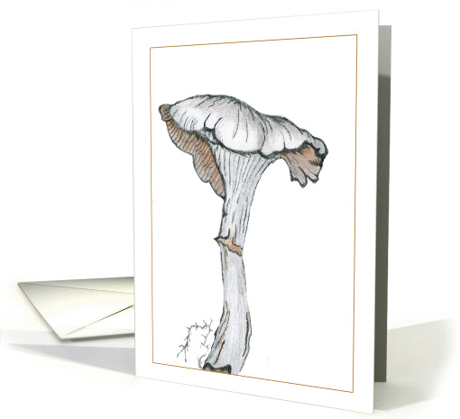 Mushroom 1C card (317129)