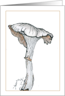 Mushroom 1C card