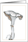 Mushroom 1C card