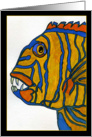Fish 1D card