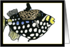 Fish 1E card