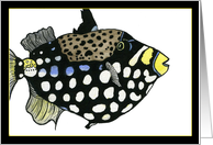 Fish 1E card
