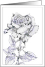 The Rose card