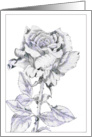 The Rose card