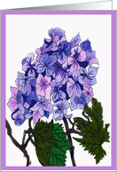 The Hydrangea card