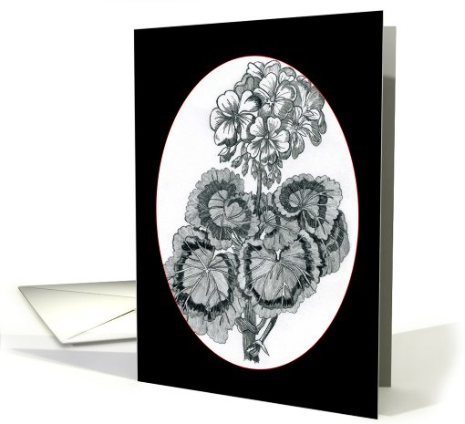 Geranium card (318001)