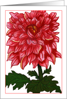 Dahlia card