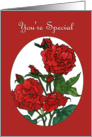 Your Special Card