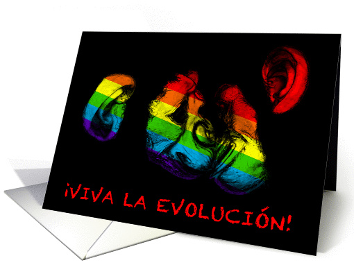 viva la evolucion! rainbow chimps coming out of the closet card