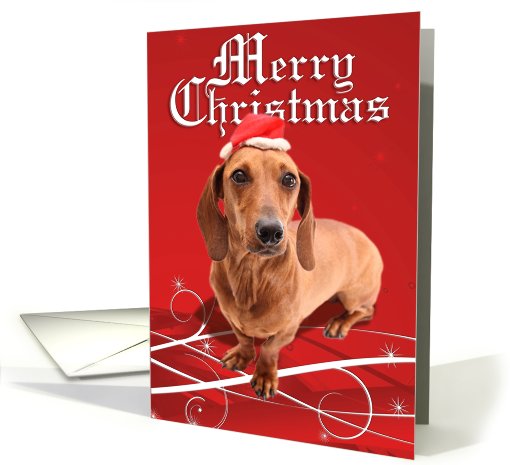 Dachshund Christmas card (300266)