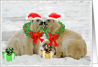 Polar Bear Christmas Card