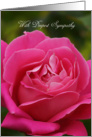 Sympathy Card With Pink Rose card