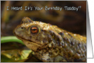 Birthday Card With Wild Toad Play On Words, Toaday (today) card