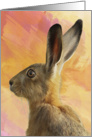 Wild Hare Note Card