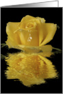 Yellow rose water reflection blank note card - any occasion card