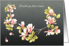 Welsh Thank you card with pretty pink Magnolia card