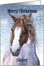 Sister Equine Horse With Winter Background card