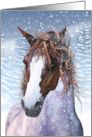 Blank Any Occasion Card, Horse In The Winter Snow card