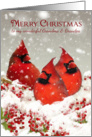 Grandma & Grandpa, Oil Painted Red Cardinals In Snow Scenery card