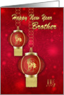 Brother Chinese New Year With Lanterns card