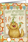 Great Niece 14th Birthday With Fun Party Cat card