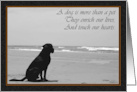 Reflective, Death of a Dog Sympathy Card