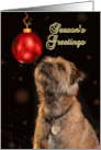 Season’s Greetings With Border Terrier Dog card