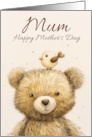 Mum Mother’s Day with Teddy Bear and Little Bird card