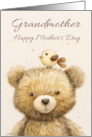 Grandmother Mother’s Day with Bear and Cute Little Bird card