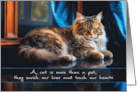 Cat Pet Sympathy with a Beautiful Cat card