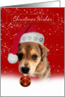 christmas wishes greeting card with cute puppy holding an ornament card