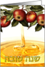 Rosh Hashanah Greeting Card With Apples - Shana Tova card