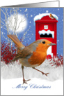 Traditional Robin And Mail Box Winter Card