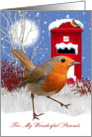 Parents Christmas Greeting Card With Robin And Mail Box card