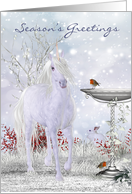 Unicorn Holiday Card Winter Scenery With Robins card