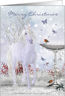 Winter Unicorn...