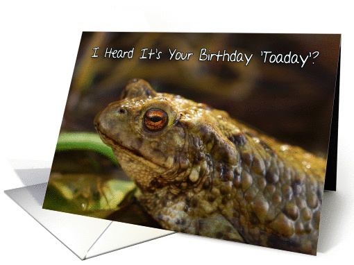 Birthday Card With Wild Toad Play On Words, Toaday (today) card