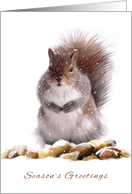 Season’s Greetings Squirrel With Winter Nut Store Digital Painting card