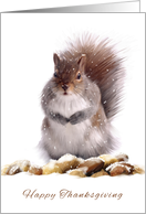 Thanksgiving Squirrel With Winter Nut Store Digital Painting card