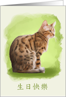 happy birthday in chinese, bengal cat, birthday Card