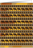 Blank Elephant Card With African Colors card