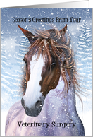 Vet Season’s Greetings Equine Horse In The Winter Snow card