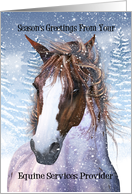 Equine Service Provider Horse In The Winter Snow card