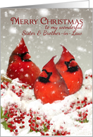 Sister & Brother-in-Law, Oil Painted Red Cardinals In Snow Scenery card