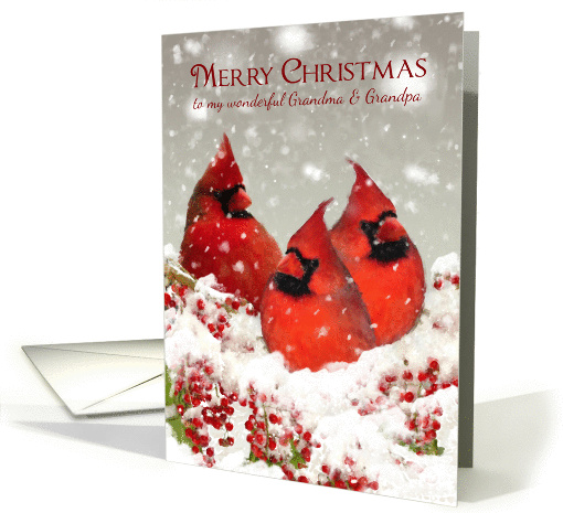 Grandma & Grandpa, Oil Painted Red Cardinals In Snow Scenery card