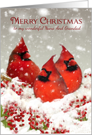 Nana And Grandad, Oil Painted Red Cardinals In Snow Scenery card