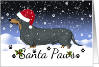 Dachshund Santa paws...