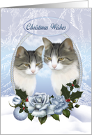 Two Christmas Cats...