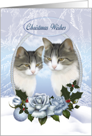 Two Christmas Cats With Snow Ice And Blue Roses With Holly card
